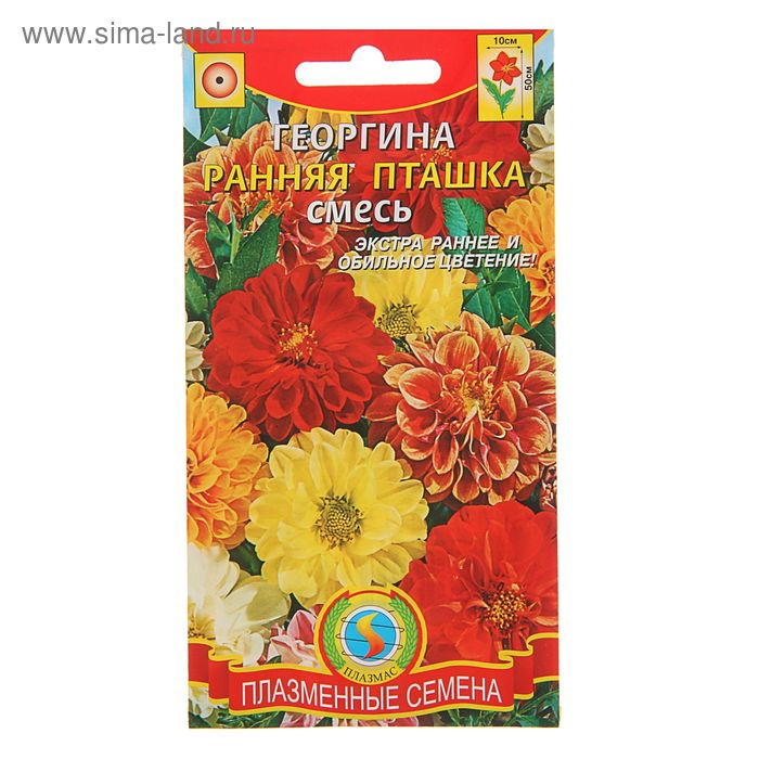Семена Георгина "Ранняя пташка", смесь, 12 шт - Фото 1