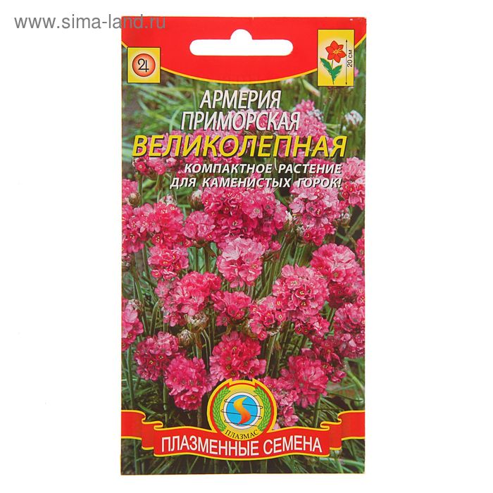 Армерия Приморская великолепная Многолетники. Семена