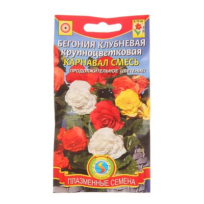 Семена комнатных цветов Бегония "Карнавал", 5 шт.