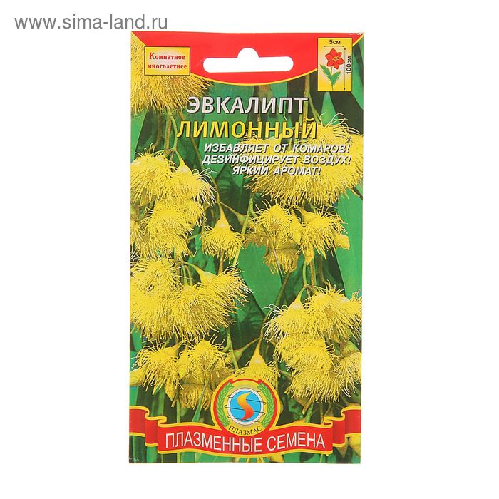 Семена комнатных цветов Эвкалипт "Лимонный", 3 шт. - Фото 1