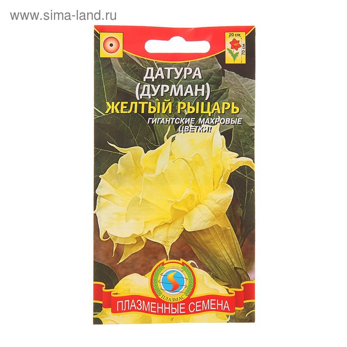 Семена Дурман "Желтый рыцарь", 3 шт - Фото 1