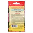 Семена цветов Петуния F1 "Пинк", О, драже 10 шт. - Фото 2