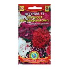 Семена Петуния "Глориза", смесь, драже, 10 шт - Фото 1