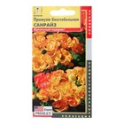 Семена Примула бесстебельная "Санрайз", 5 шт - Фото 1