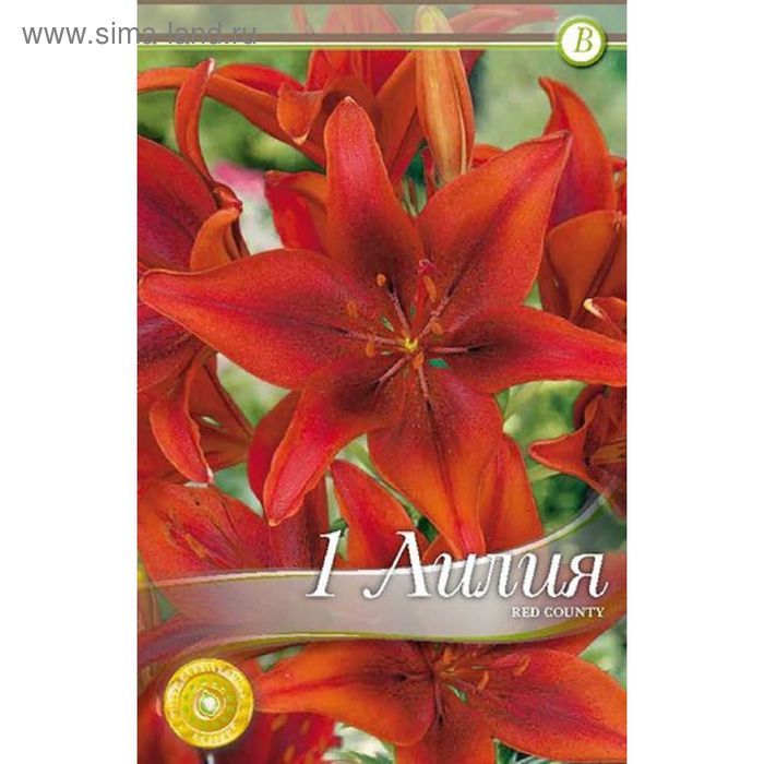 Луковица Лилия азиатская Ред Каунти 5шт 452457 купить с доставкой в МЕГАСТРОЙ Ни