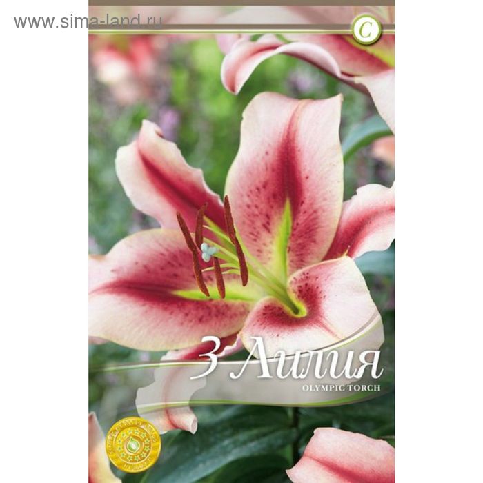 Сибирский сад / Лилия Олимпик Флейм (OT гибрид) 14/16 2шт (Поиск) Лилии. Цветы в