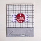 Пакет подарочный ламинированный, упаковка, «Стильному мужчине», ML 23 х 27 х 8 см 1502990