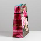 Пакет подарочный ламинированный, упаковка, «Садовые пионы», MS 18 х 23 х 8 см 1526966