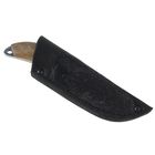 Нож носкладной "Шмель", г. Павлово, рукоять-орех, 65Х13 - Фото 3