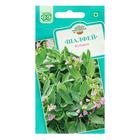 Семена Шалфей лекарственный" Кубанец", ц/п, 0,3 г - Фото 1