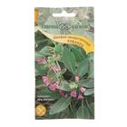 Семена Шалфей лекарственный" Кубанец", ц/п, 0,3 г - Фото 3