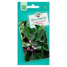 Семена Шалфей лекарственный" Кубанец", ц/п, 0,3 г - Фото 4