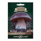 Семена Мицелий "Белый гриб", ц/п, сосновый на зерновом субстрате, 15 мл - Фото 1