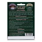 Семена Мицелий "Белый гриб", ц/п, сосновый на зерновом субстрате, 15 мл - Фото 2