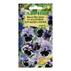 Семена цветов виола «Махровое кружево», цветной пакет, 4 шт. - Фото 1