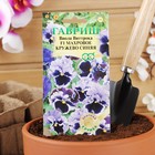 Семена цветов виола «Махровое кружево», цветной пакет, 4 шт. - Фото 3