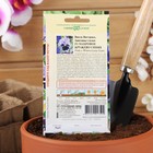 Семена цветов виола «Махровое кружево», цветной пакет, 4 шт. - Фото 4