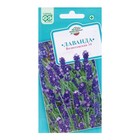 Семена Лаванда узколистная, "Вознесенская 34", ц/п, 0,05 г - Фото 1