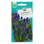 Семена Лаванда узколистная, "Вознесенская 34", ц/п, 0,05 г - Фото 3