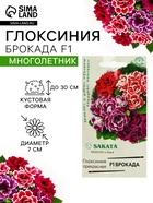 Семена цветов Глоксиния «Брокада», F1, гранулы, 4 шт., «Гавриш» - Фото 1