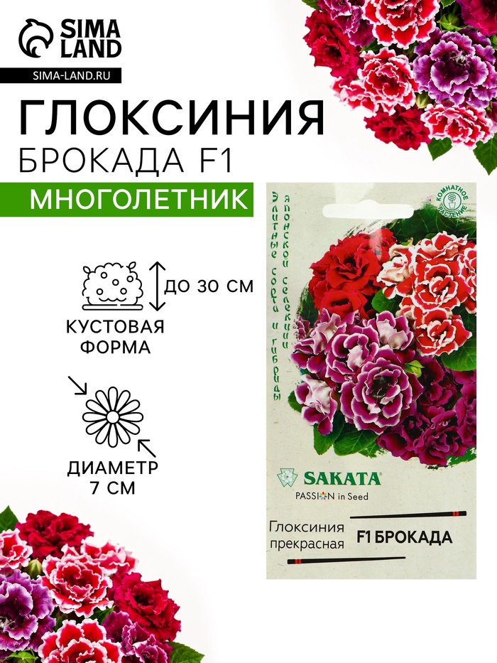 Семена цветов Глоксиния «Брокада», F1, гранулы, 4 шт., «Гавриш» - Фото 1