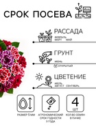 Семена цветов Глоксиния «Брокада», F1, гранулы, 4 шт., «Гавриш» - Фото 2