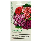 Семена цветов Глоксиния «Брокада», F1, гранулы, 4 шт., «Гавриш» - Фото 5