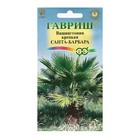 Семена комнатных цветов Вашингтония «Санта-Барбара», 3 шт. - Фото 1