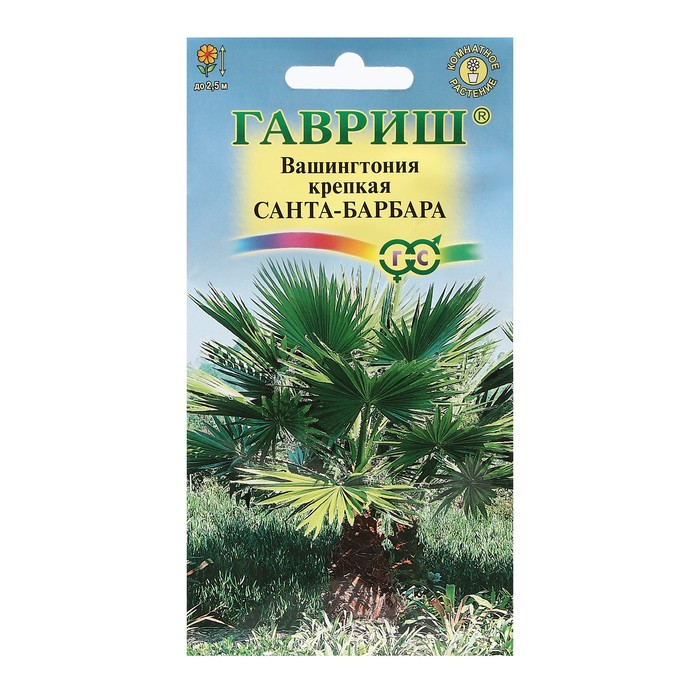Семена комнатных цветов Вашингтония «Санта-Барбара», 3 шт. - Фото 1