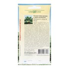 Семена комнатных цветов Вашингтония «Санта-Барбара», 3 шт. - Фото 2