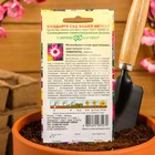 Семена цветов Мезембриантемум хрустальный "Лимпопо", ц/п, О., 0,05 г - Фото 4