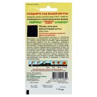 Семена цветов Мальва "Фиолетовый бархат", 0,1 г - Фото 2