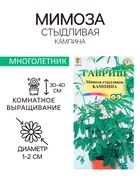 Семена комнатных цветов Мимоза «Кампина», 0.1 г, «Гавриш» - Фото 1