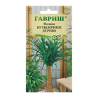 Семена комнатных цветов Нолина "Бутылочное дерево", 3 шт. - Фото 3