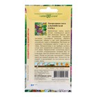 Семена цветов Смесь Декоративная "Альпийских горка", ц/п, 0,1 г - Фото 2