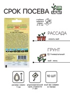 Семена Огурец «Месье Оливье», F1, салатный, партенокарпический, 10 шт., «Гавриш» - Фото 2