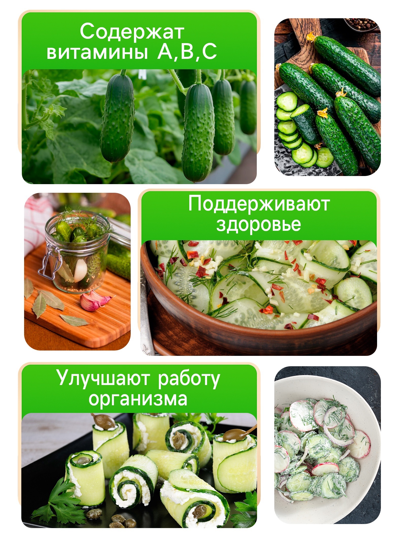 Купить Семена Огурцов В Туле