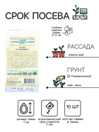 Семена огурца "Гирлянда", F1, 10 шт. - Фото 3