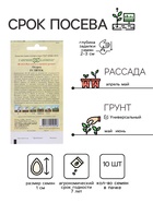 Семена Огурец "Зятек" F1, скороспелый, партенокарпический, 10 шт. - Фото 5