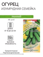 Семена Огурец «Изумрудная семейка», F1, корнишон, раннеспелый, партенокарпический, 0.3 г, «Гавриш» - Фото 1