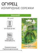 Семена Огурец «Изумрудные сережки» F1, корнишон, раннеспелый, партенокарпический, 10 шт., «Гавриш» - Фото 1