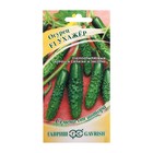 Семена Огурец "Ухажер" F1 , среднепоздний, пчелоопыляемый, 10 шт. - Фото 2