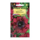 Семена цветов Петуния "Бордовая", ц/п, бахромчатая, О, пробирка, ц/п, 7 шт. - Фото 1