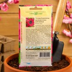 Семена цветов Петуния "Бордовая", ц/п, бахромчатая, О, пробирка, ц/п, 7 шт. - Фото 4