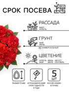 Семена цветов Петуния «Валентайн F1», махровая, крупноцветковая, однолетник, гранулы, «Гавриш» - Фото 2