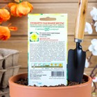 Семена цветов Петуния "Береника" F1, многоцветковая, О, ц/п, гранулы, пробирка,  7 шт. - Фото 2