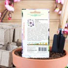 Семена цветов Петуния "Альба" бахромчатая, О, пробирка, ц/п, 7 шт. - Фото 2