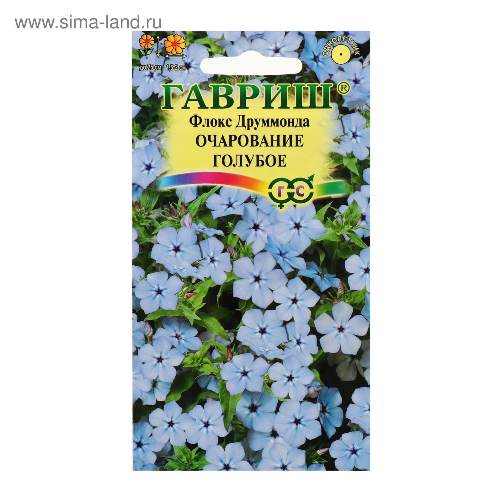 Флоксы Однолетние Купить Семена