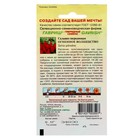 Семена цветов Сальвия "Огненное волшебство", ц/п, О, 0,05 г - Фото 2