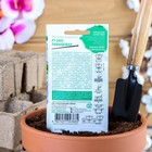 Семена цветов Эустома "Эхо" лавандовая F1, гранулы, пробирка, О, ц/п, 4 шт. - Фото 2